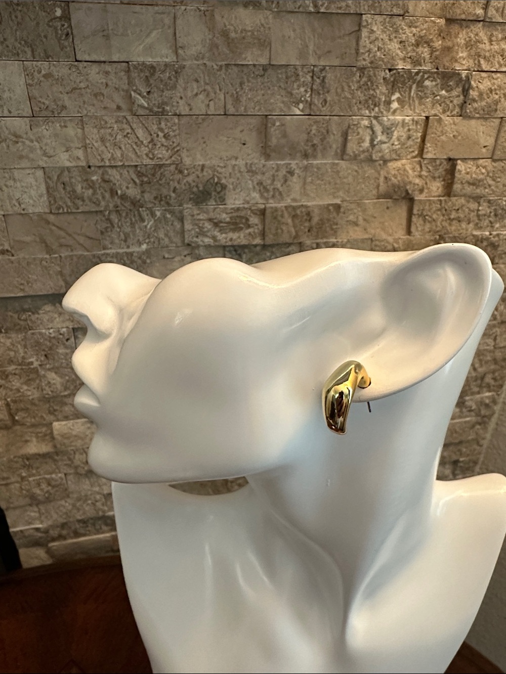 Fashion Jewelry Gold Hoop Accent Earrings